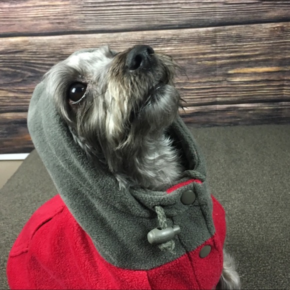 Other - Grey Red Hoodie Sweatshirt Puppy Dog Jacket Small